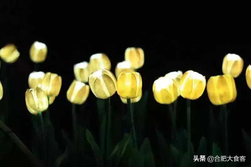 合肥水上乐园省钱攻略,39元就能免费玩的水上乐园