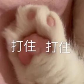 英语学不好背不下单词怎么办,英语为什么背的单词还是学不好