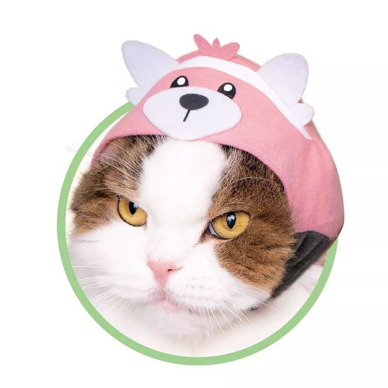 是天堂、是罪恶,200日元就能体验的快感