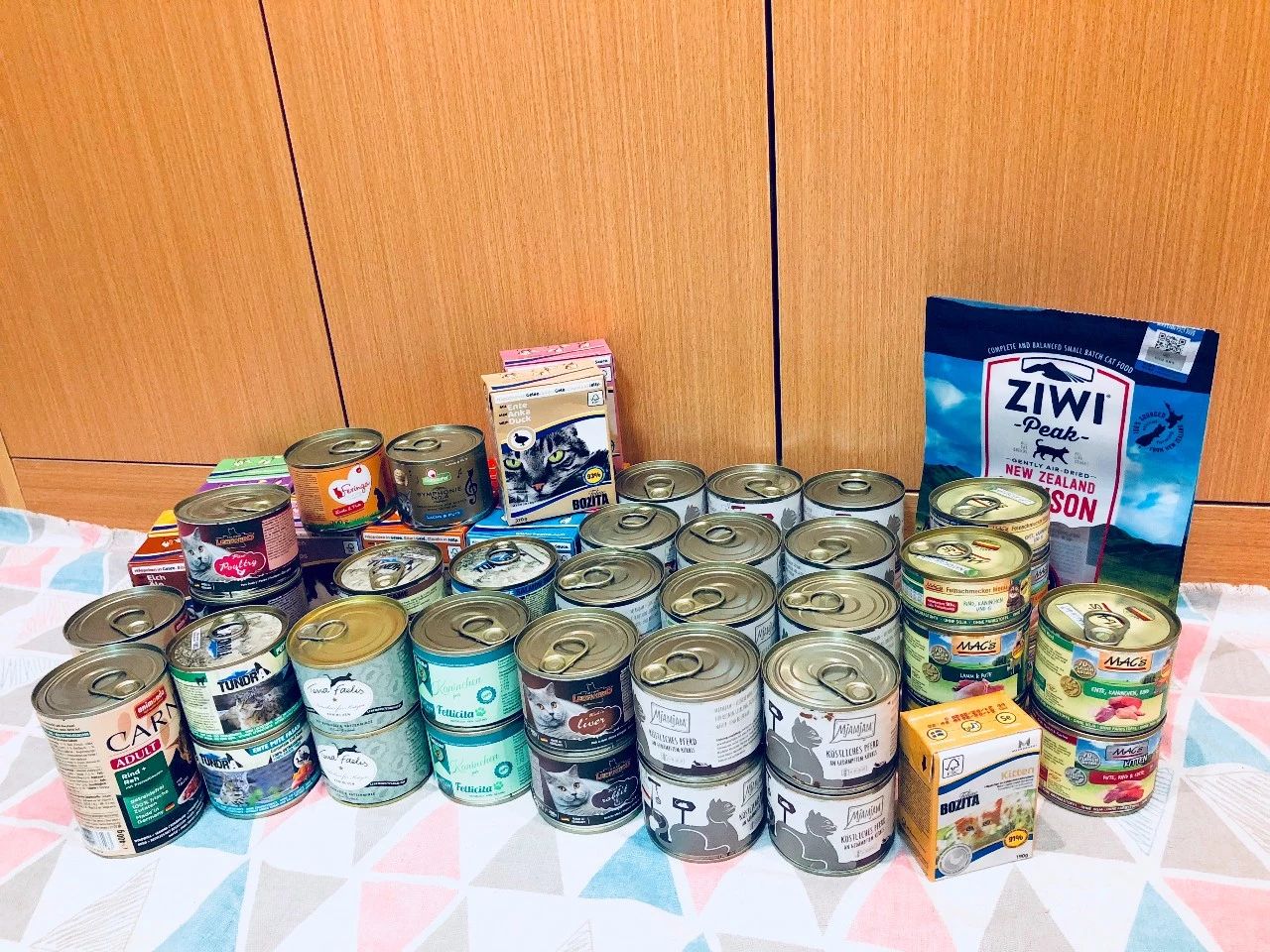 不出门的健康猫会感染猫瘟吗,完全不出门的猫会生病吗