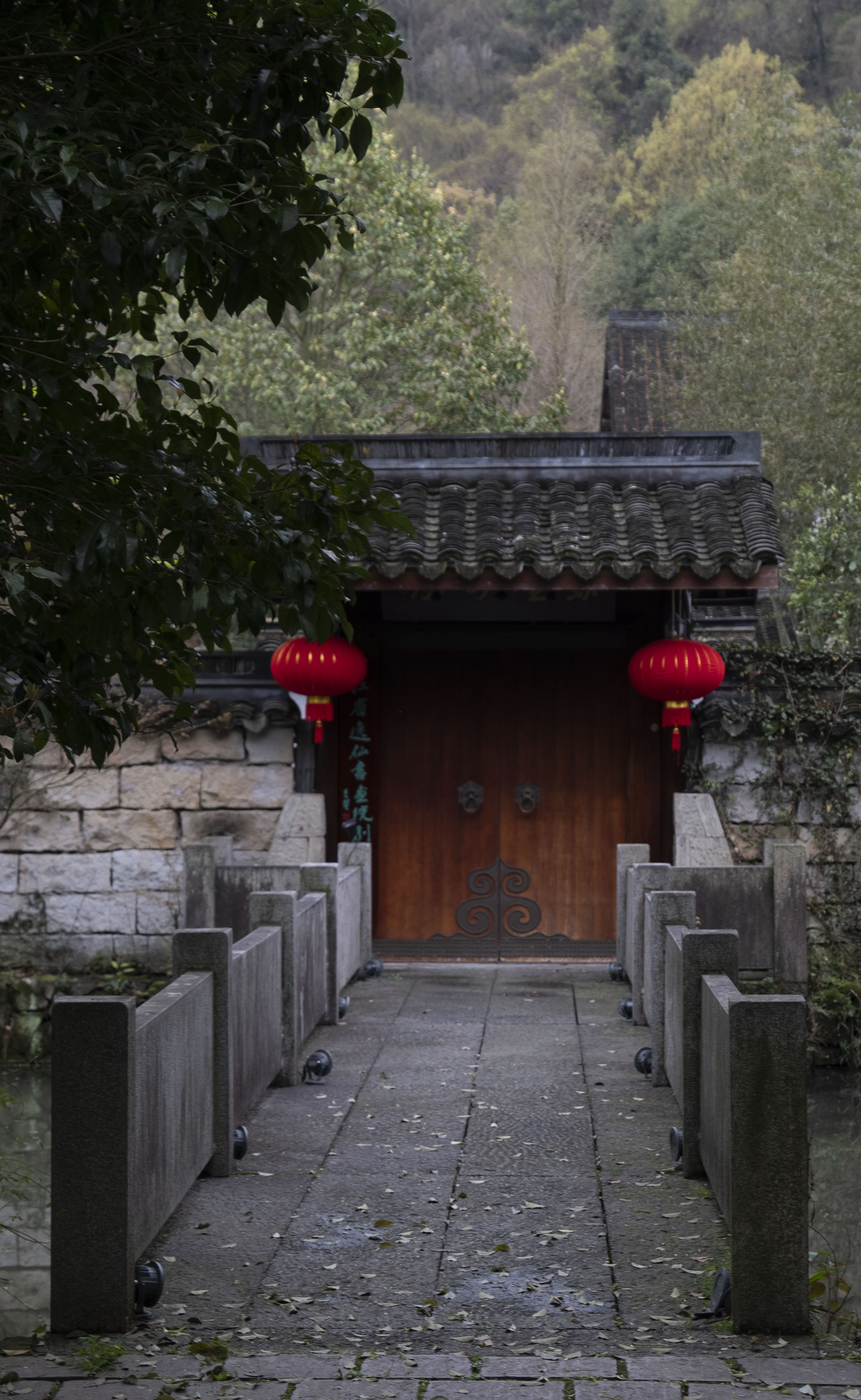 西湖龙井春茶季,龙井茶西湖明前春茶