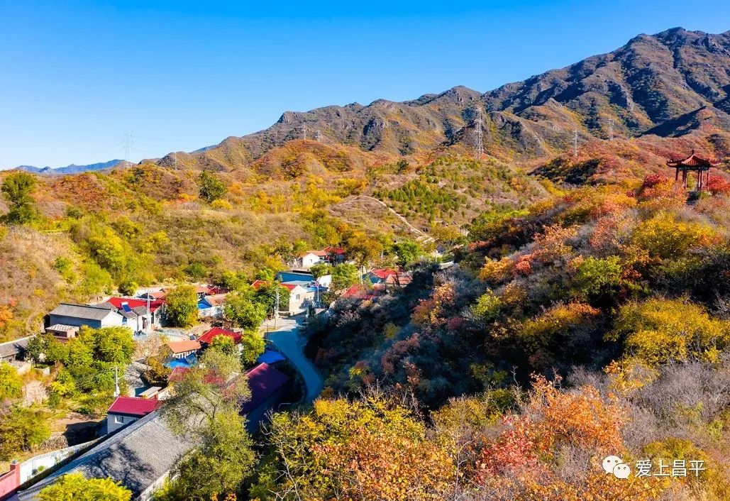 昌平区适合一日游玩踏青的地方,4月中旬昌平区最值得去的景点