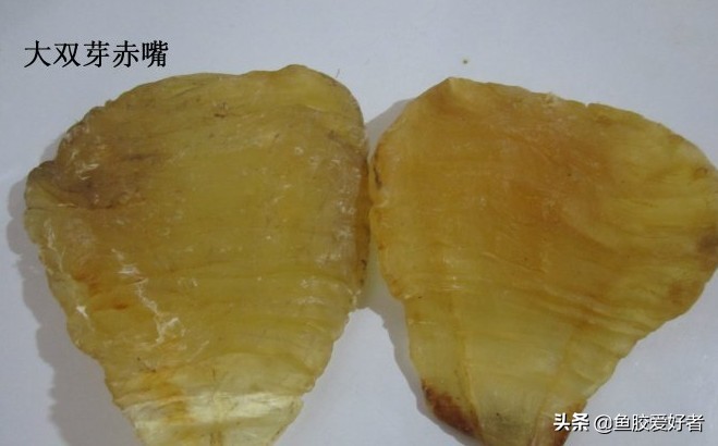 鱼胶花胶对下奶有好处吗,鱼胶能改善卵巢功能吗