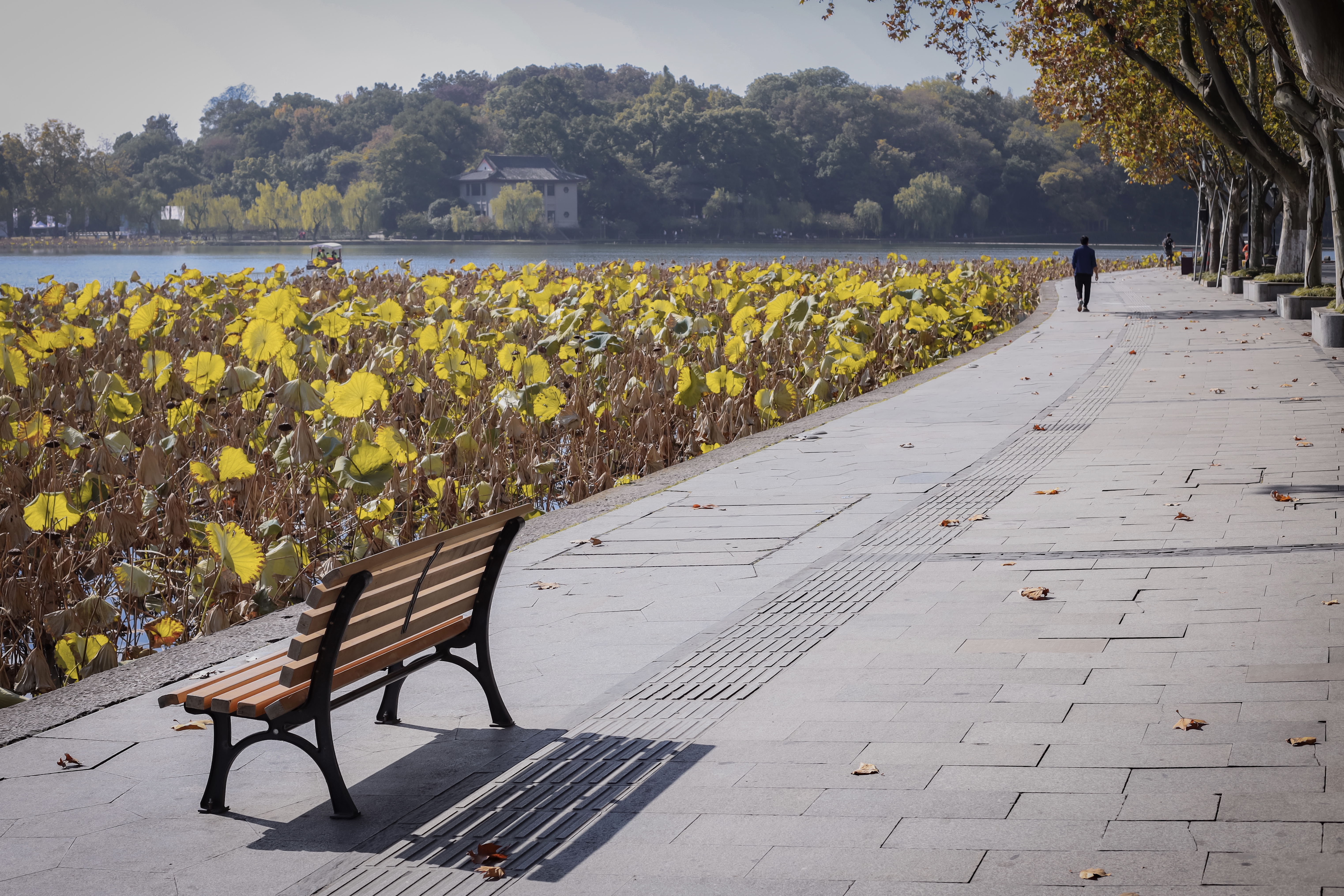 杭州西湖小众旅游攻略,西湖旅游打卡攻略