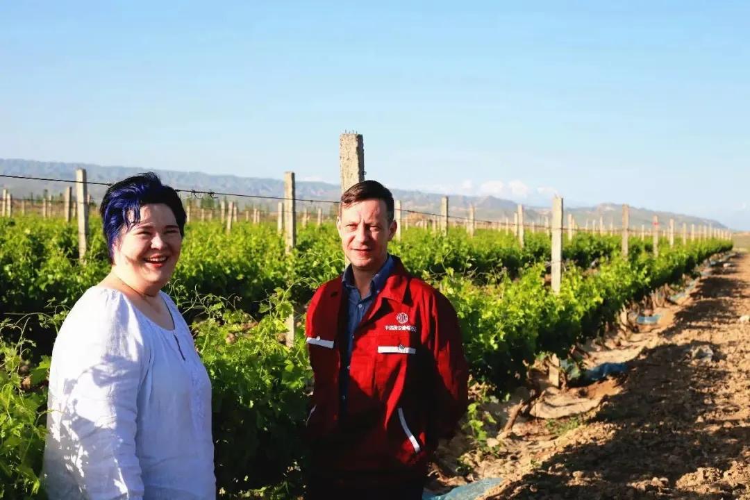 尼雅葡萄酒2015价格表大全,尼雅葡萄酒代理