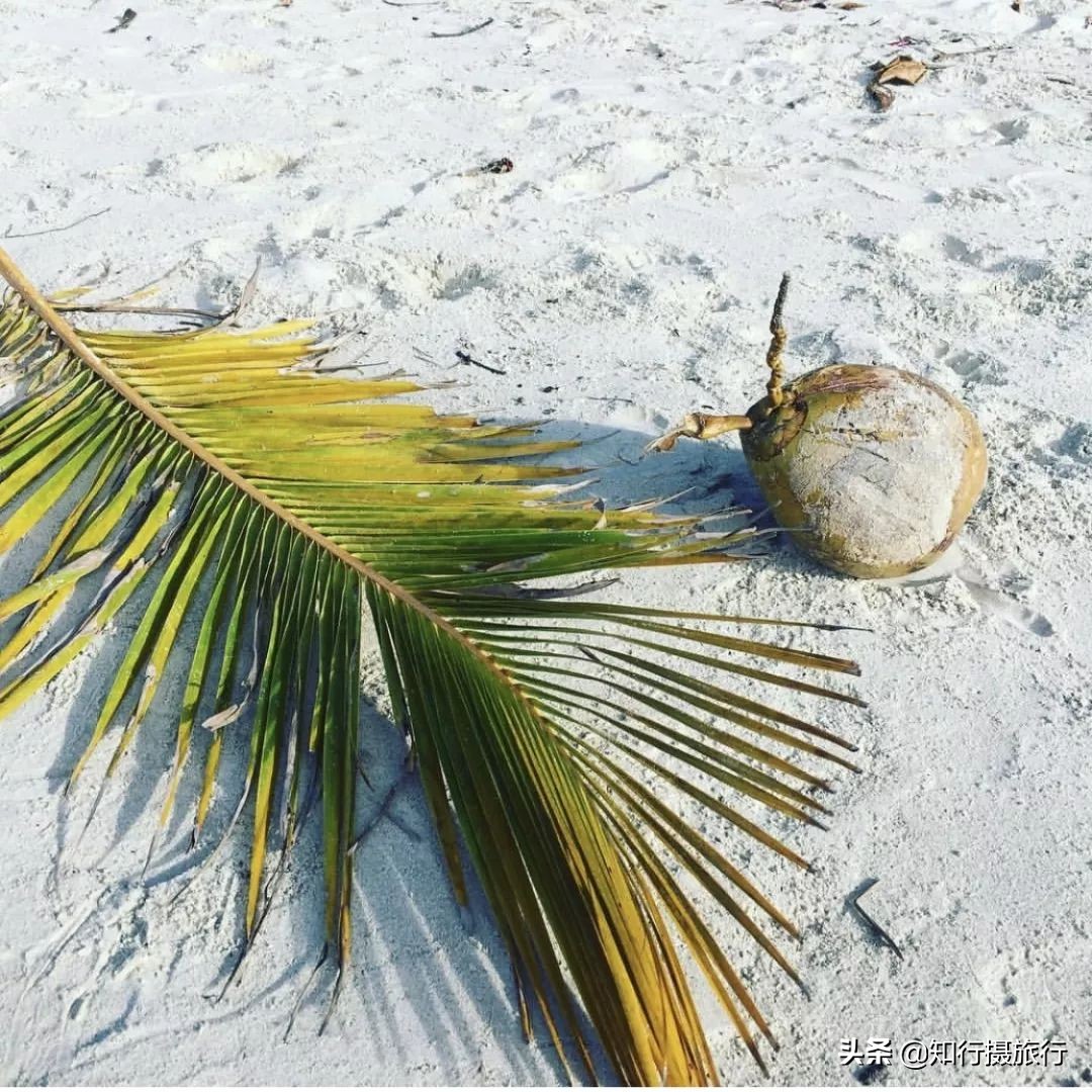 离曼谷芭提雅不远的沙美岛又称情人岛，值得你在泰国旅程中走一走