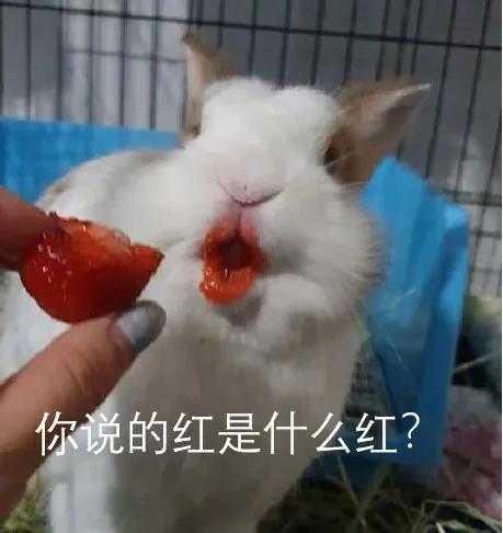 直女的聊天行为,直女聊天方式会被男生讨厌吗