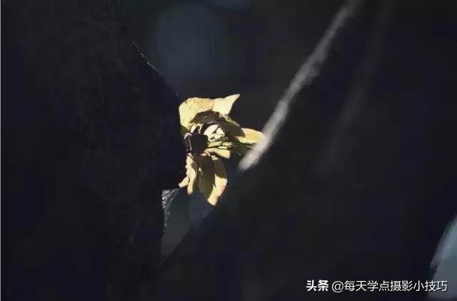 拍照如何拍出模糊感,拍照模糊的技巧