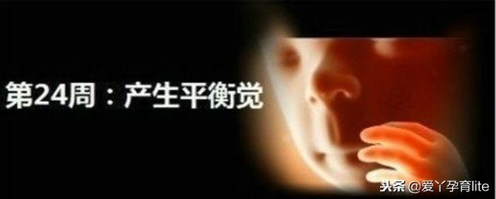 37周到40周做些什么产检,孕期产检知识大全