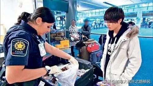 加拿大留学遣返注意事项,警惕留学生回国进重点部门