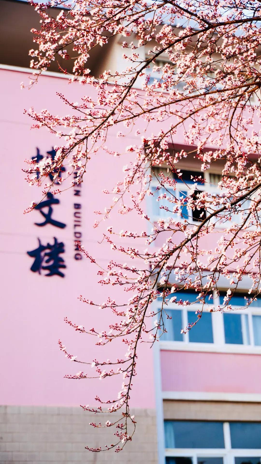 江苏财经大学,南京财经大学双非院校排名