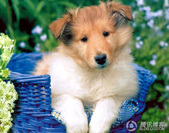 工作中的幽默小故事,职场幽默小故事欣赏