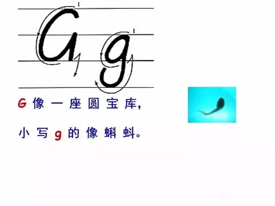 如何熟练掌握英文字母的书写,怎样让孩子记住26个英语字母书写