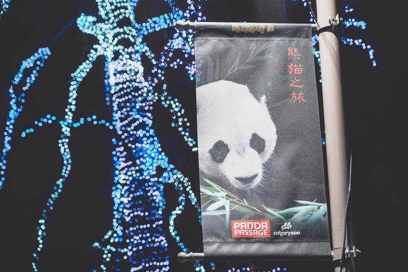 加拿大魁北克冰雪节,加拿大艾伯塔省节