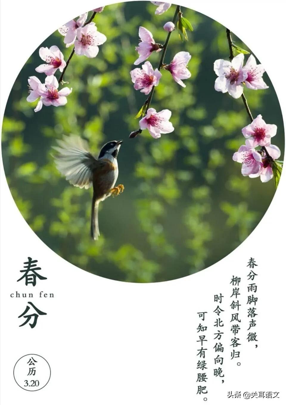 二十四节气春分歌词,二十四节气春分