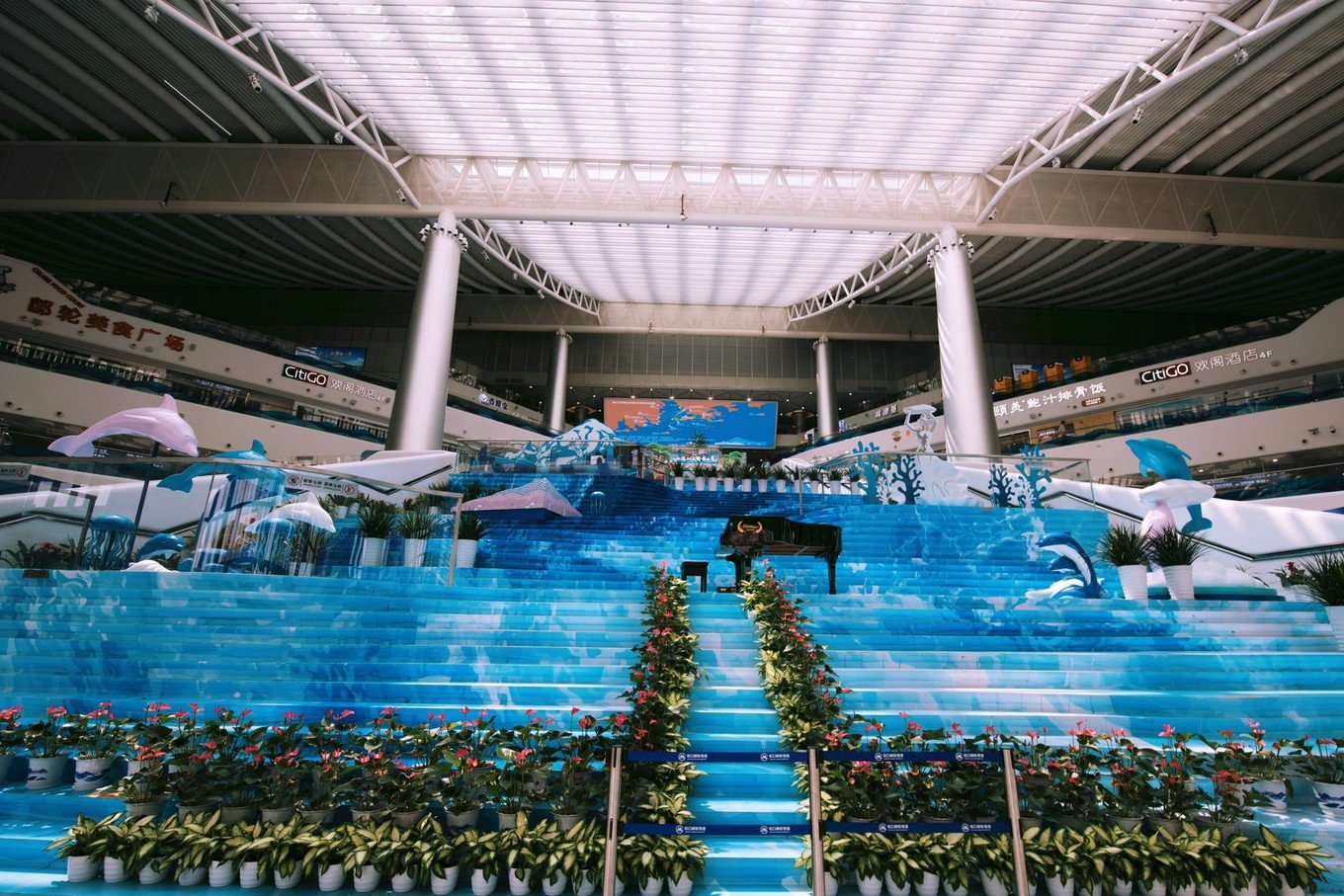 珠海体验港珠澳大桥,珠海往返澳门攻略