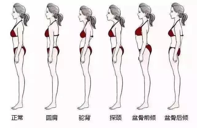 健身入门零基础教学女生健身房,健身入门女生练肌肉