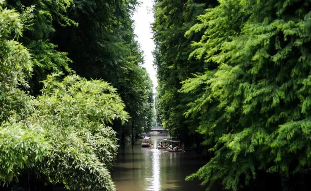 峡谷漂流推荐一个避暑圣地,金丝峡漂流和溶洞漂流哪个好玩