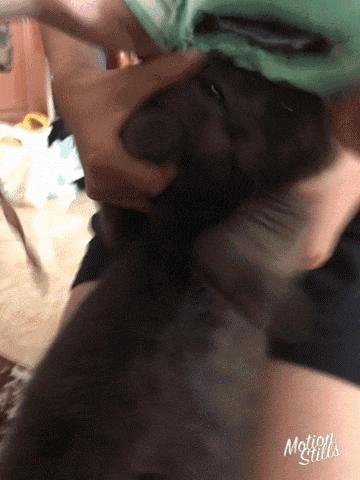 厌倦了红黄棕不妨来款高级感发色,厌倦了高级黑白灰