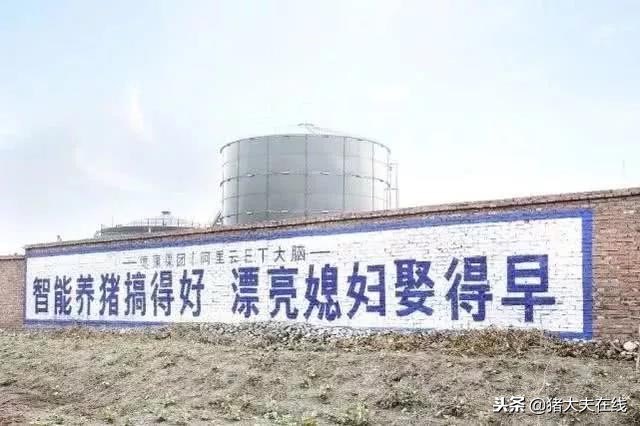 “京东猪”与网易、阿里养的猪有何异同?