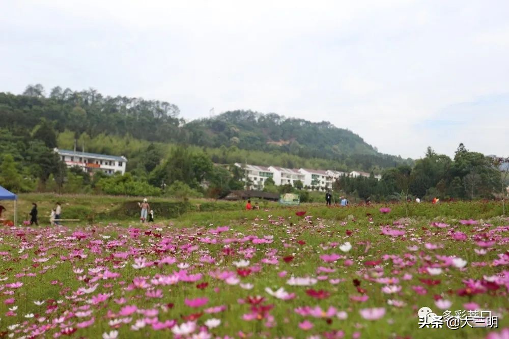 中国最美三明旅游线路,中国绿都泰宁最氧三明