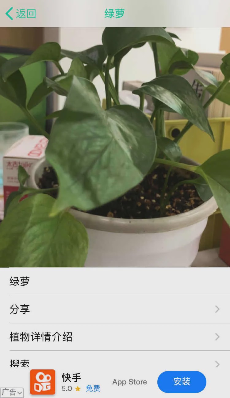 哪个识花软件最好用,识花app免费的哪个好