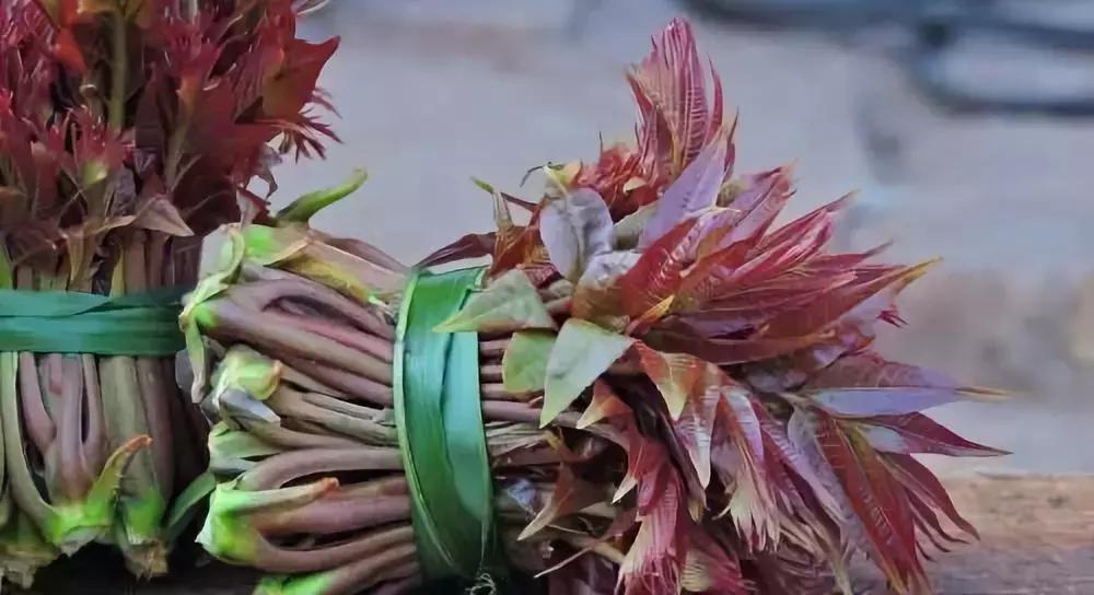 十大适合目前农村创业的项目,4个适合农村创业好路子