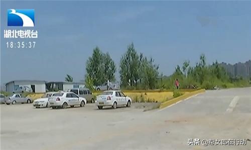 驾考学员学车事故视频,驾校学员出车祸为什么要教练承担