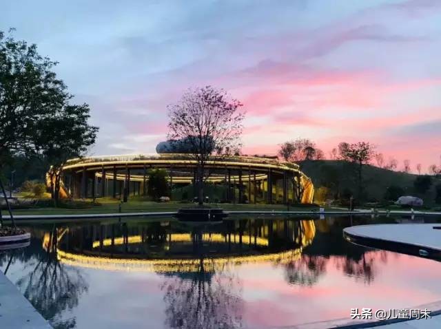 深圳中心公园足球场,深圳中心公园大草坪