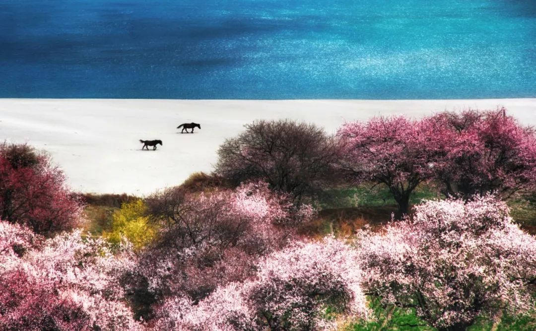 藏于山水间的度假酒店推荐,可以看日落和海景的度假酒店