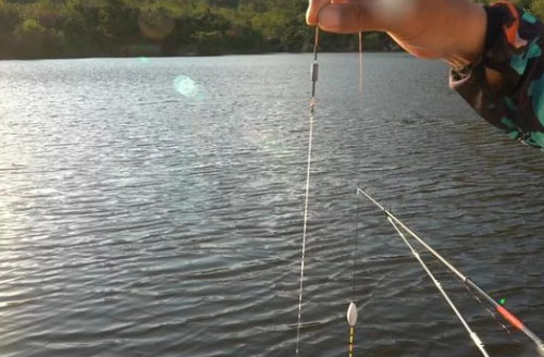 把通线的钓法翻出来温习下，钓大家伙再也不怕扎心了！