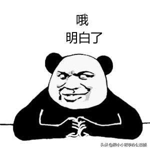 word文档发微信图片显示不出来,微信文章复制到word没有图片