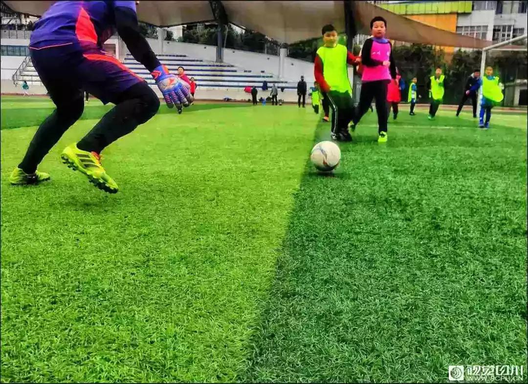 冰雪与花海齐飞！二月的四川美翻了......