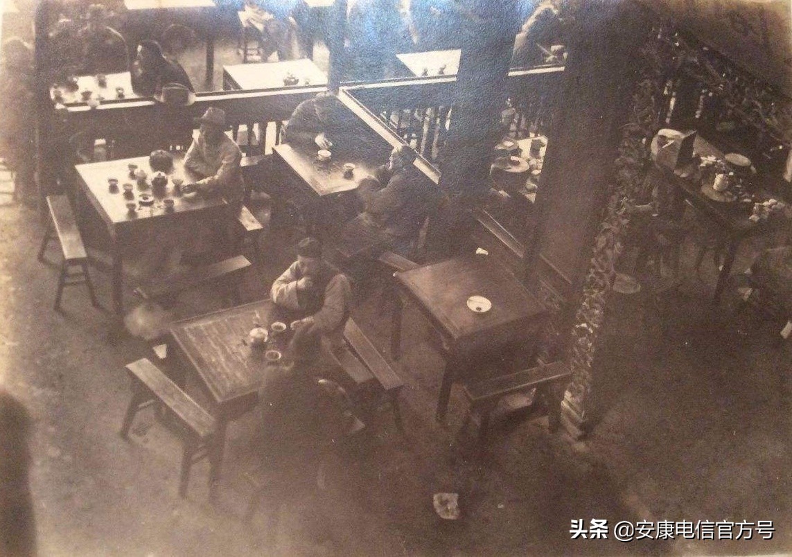 安康紫阳富硒毛尖,紫阳毛尖特别香