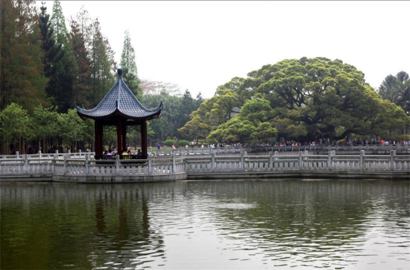 福建省福州市榕城三坊七巷图片,福州三坊七巷全国各地游客