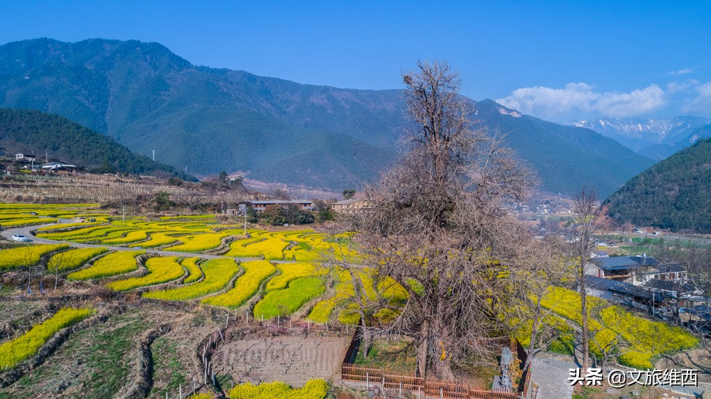 云南极边之城旅游攻略,云南不费脑的旅游攻略