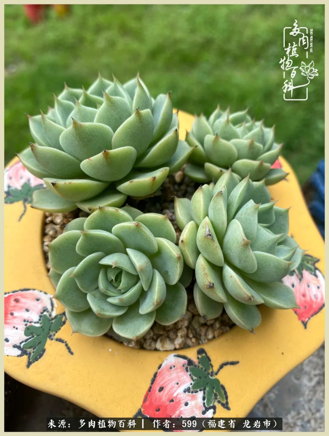 所有的热爱都不遗余力,所有的忙碌都是因为热爱