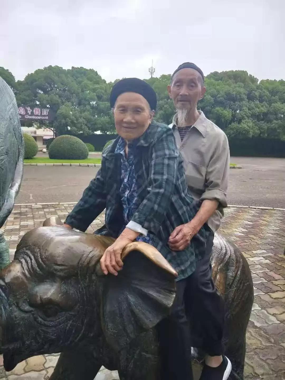 感动九旬老人久病床前有孝媳,久病床前有孝媳免费观看