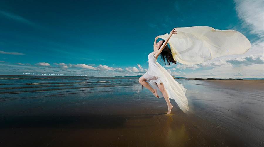 从当这首歌开始写的一些闲言碎语