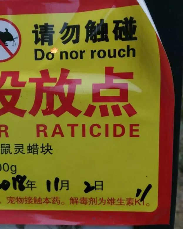 老景说事儿「小区投了老鼠药？家家户户要知道！」