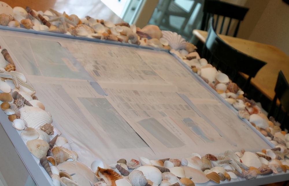 海边捡的贝壳可以做什么手工,贝壳创意手工种花