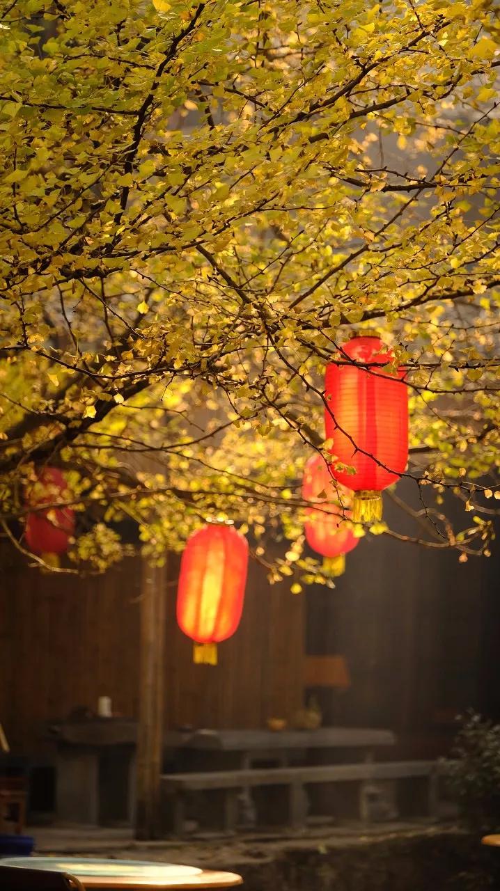 9月云南旅游景点攻略大全,云南旅游景点一日游排名前三