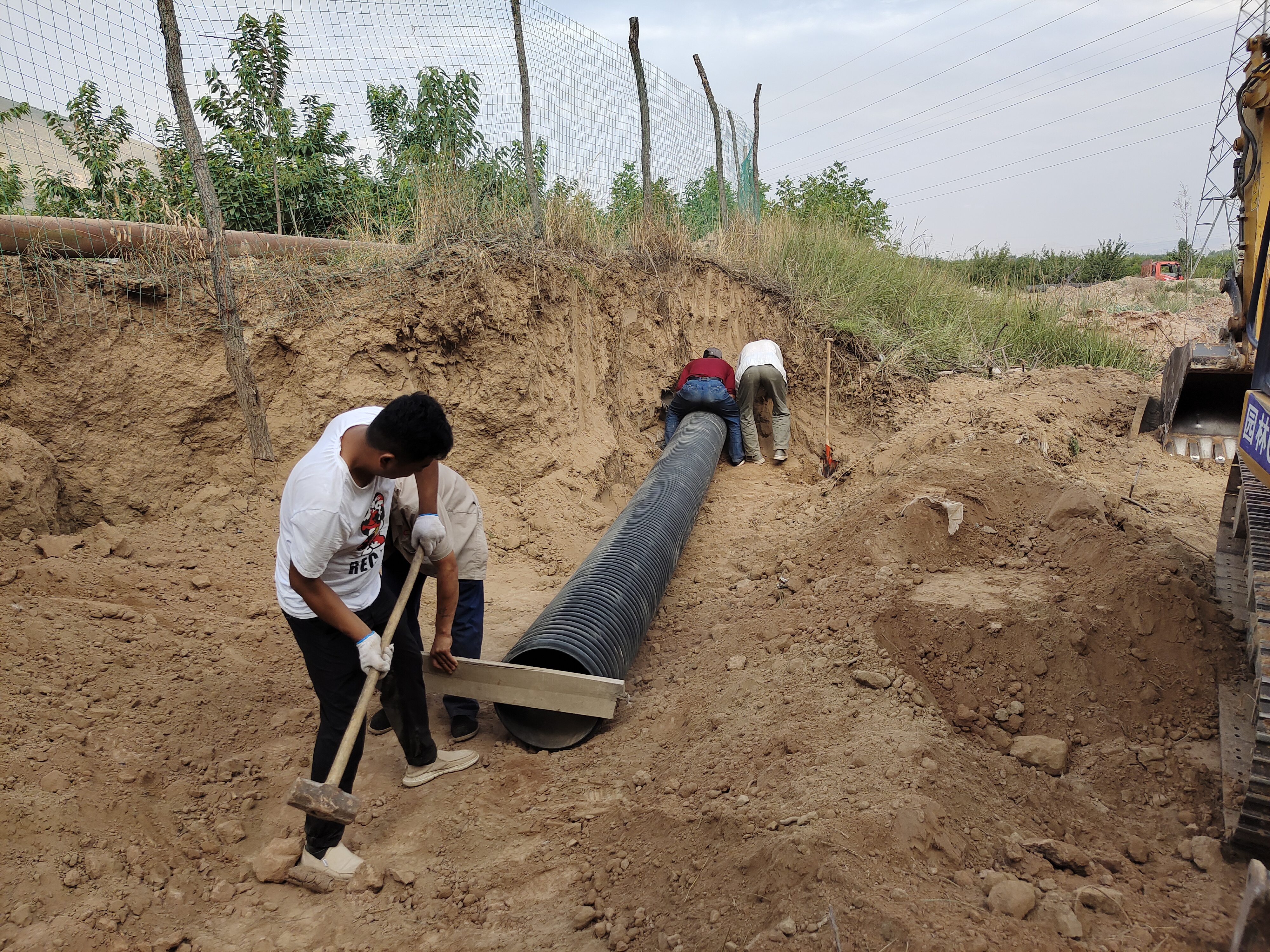 我为群众办实事细微之处见真情,凝心聚力办实事积极作为解民忧