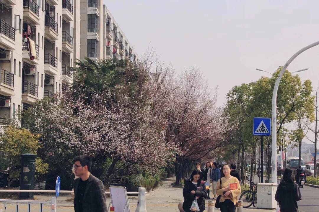 踏春邀请函怎么写,邀请朋友踏春邀请函制作