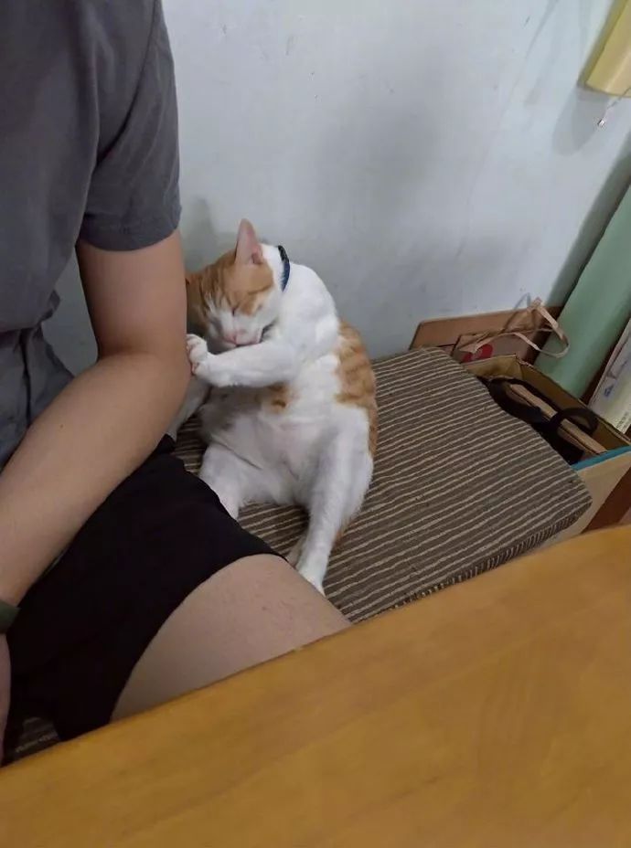 打马赛克的段子,关于马赛克的经典段子