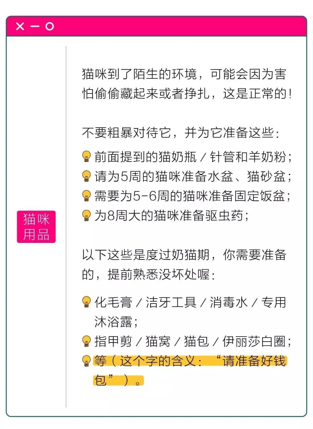 猫咪太小怎么喂,猫咪太小怎么用猫砂