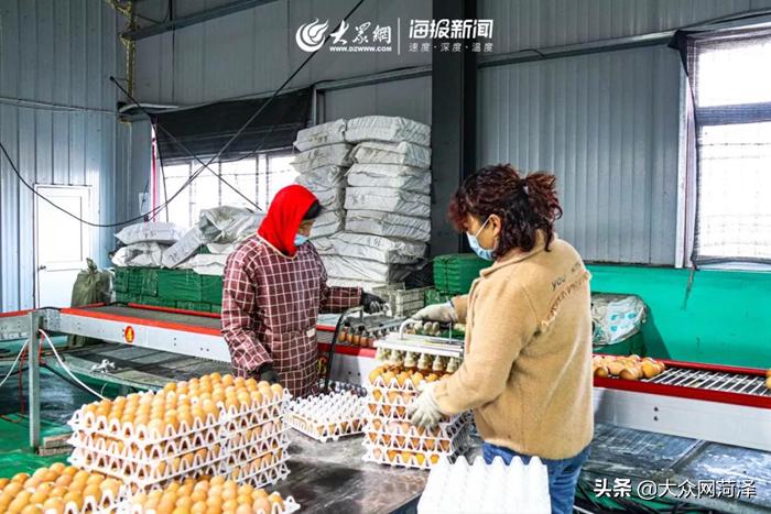 1元微力量捐款到武汉|30枚爱心鲜鸡蛋26.8元,顺丰包邮到家