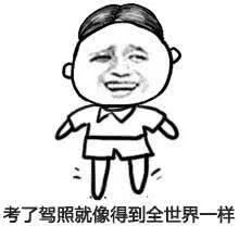 2019拿到驾驶证,2019拿到了驾照