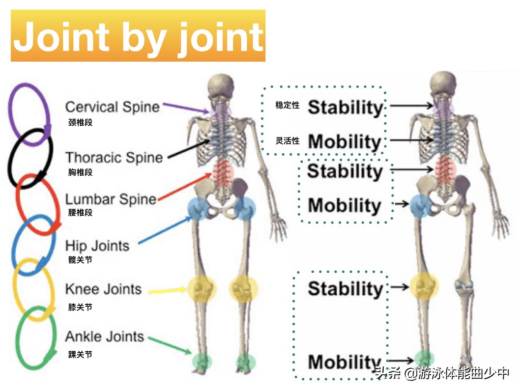 浮板自由泳腿抬不起头的问题不只你有，学习点新知识把它看透解决