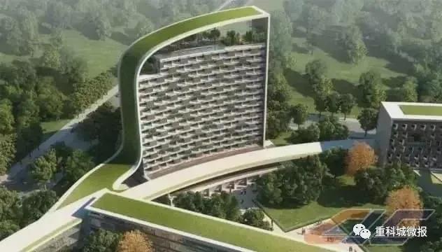 南开中学、南渝中学、树人小学、沙坪坝小学……这些名校扎堆了